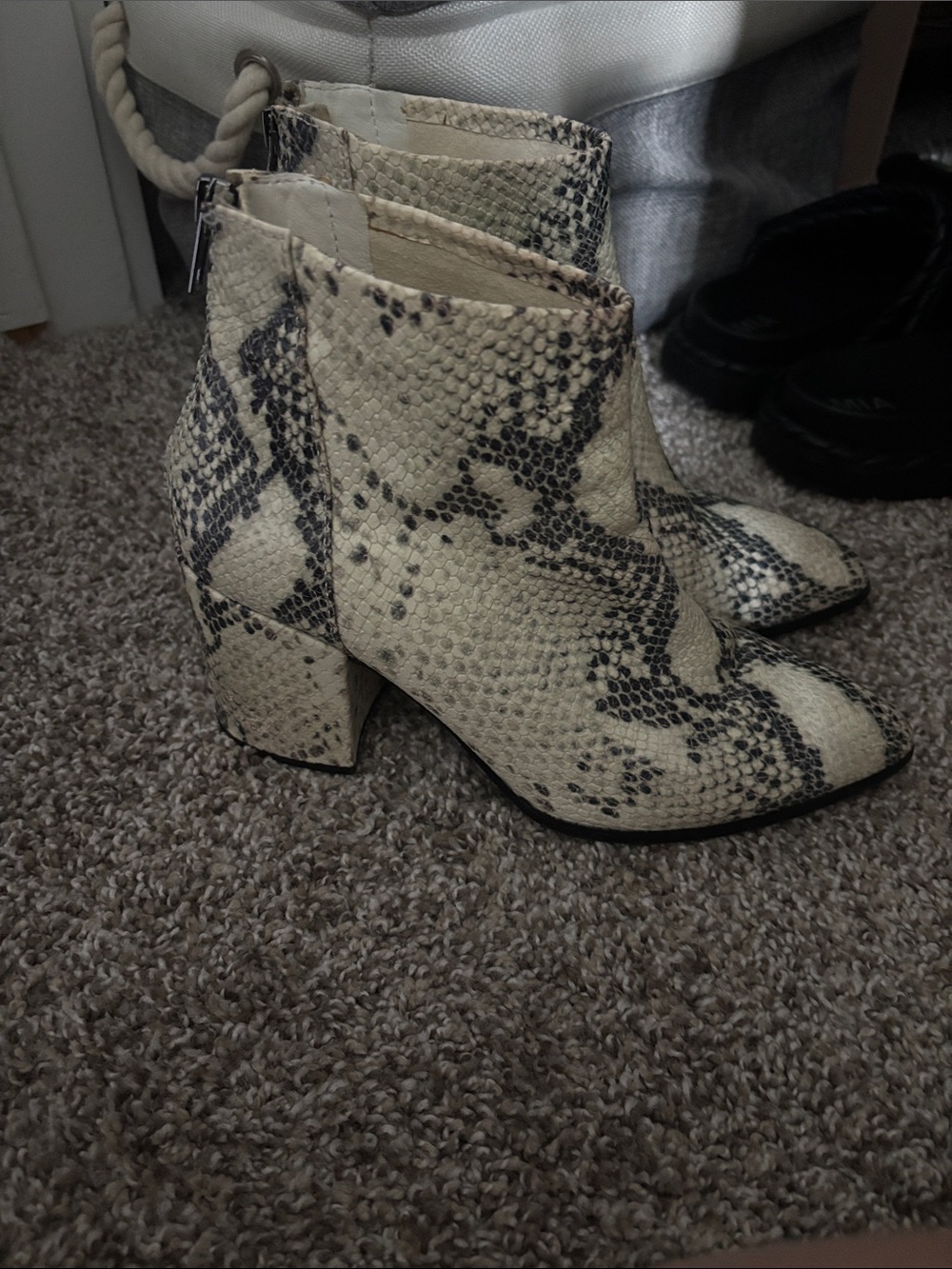 Steve Madden Cream and Black Snake-Print Block Heel Booties
